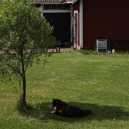 Mora Vandrarhem Och Gaesthem Vinas Luaran gambar