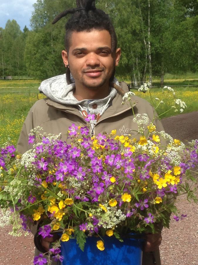 Mora Vandrarhem Och Gaesthem Vinas Luaran gambar