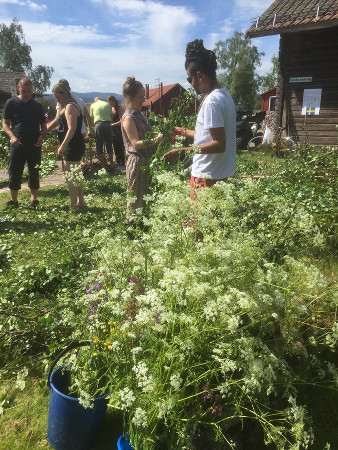 Mora Vandrarhem Och Gaesthem Vinas Luaran gambar