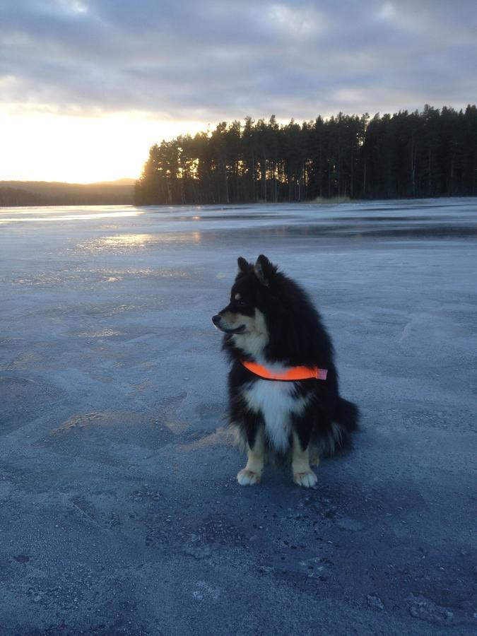 Mora Vandrarhem Och Gaesthem Vinas Luaran gambar